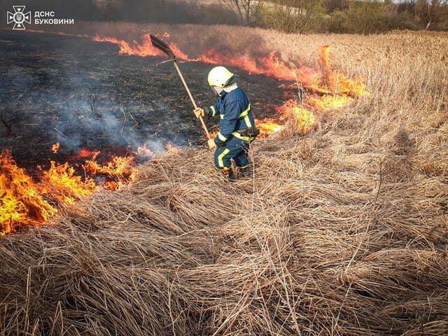 На Буковині за добу сталось 14 пожеж на відкритій території, знищено майже 8 га рослинності