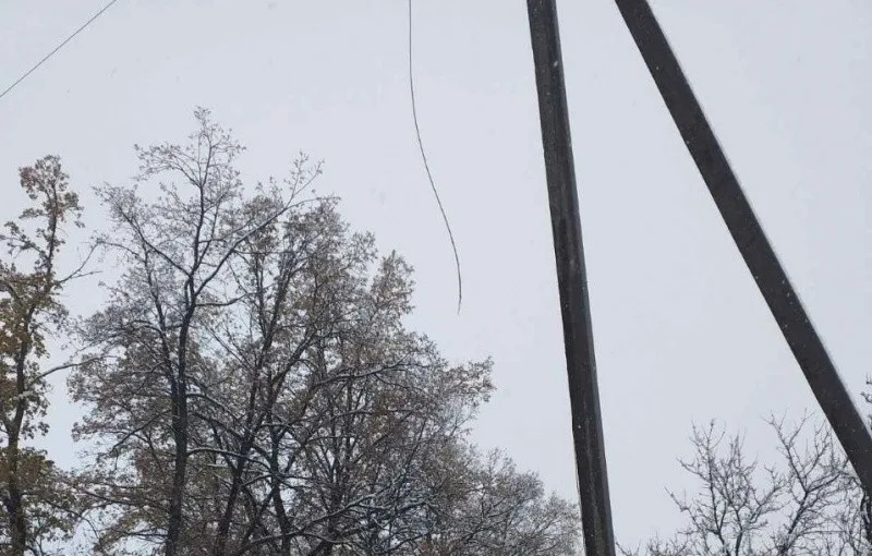 Шквальний вітер на Буковині: майже 50 населених пунктів залишились без світла