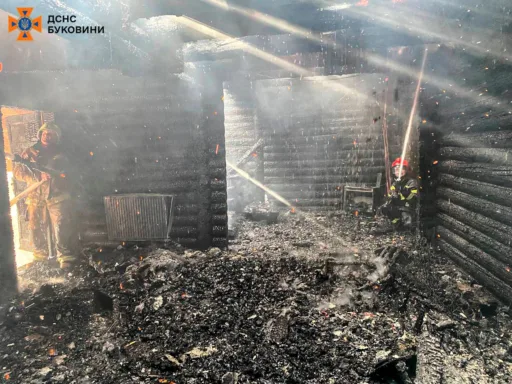 За минулу добу на Буковині виникло 12 пожеж, 9 з них на відкритій території