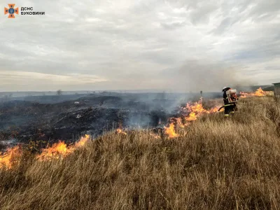 Знову горіла трава: за добу на Буковині вигоріло 9 гектарів території