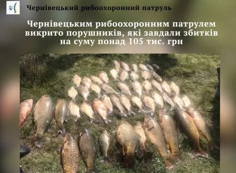 Чернівецьким рибоохоронним патрулем викрито порушників, які завдали збитків на суму понад 105 тис