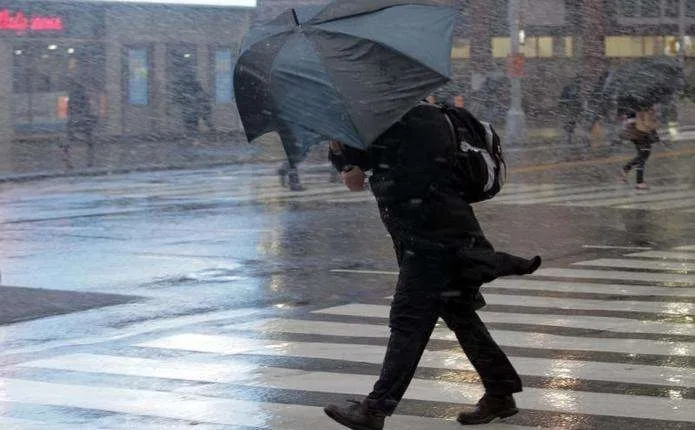 Гроза та сильний вітер: на Буковині очікується погіршення погодних умов