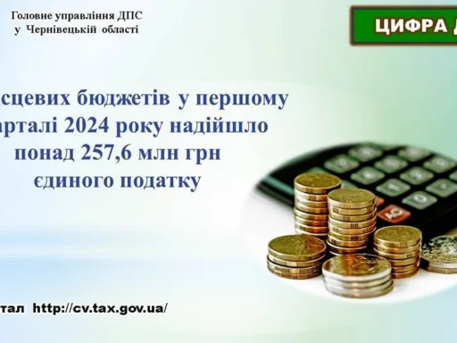 На Буковині місцеві бюджети отримали понад 257 млн грн від податку: більшість грошей внесок підприємців