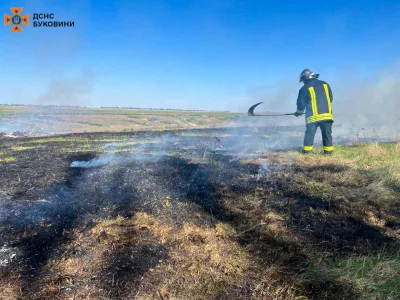 На Буковині за минулу добу сталося 5 пожеж: горіла суха трава