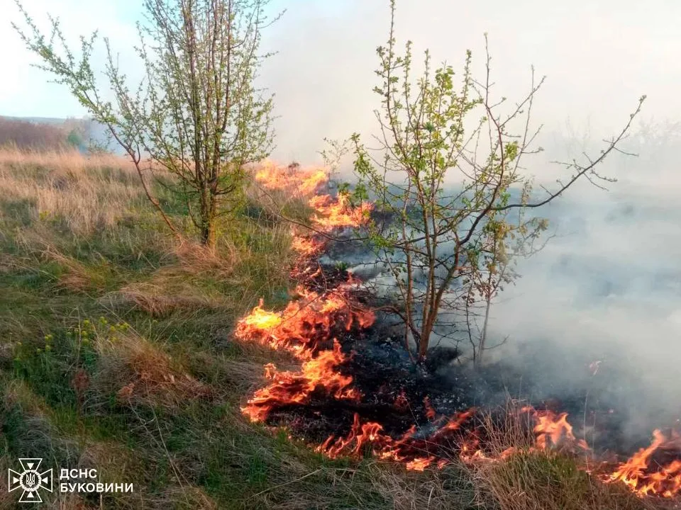 На Буковині за минулу добу вогнеборці ліквідували 8 пожеж