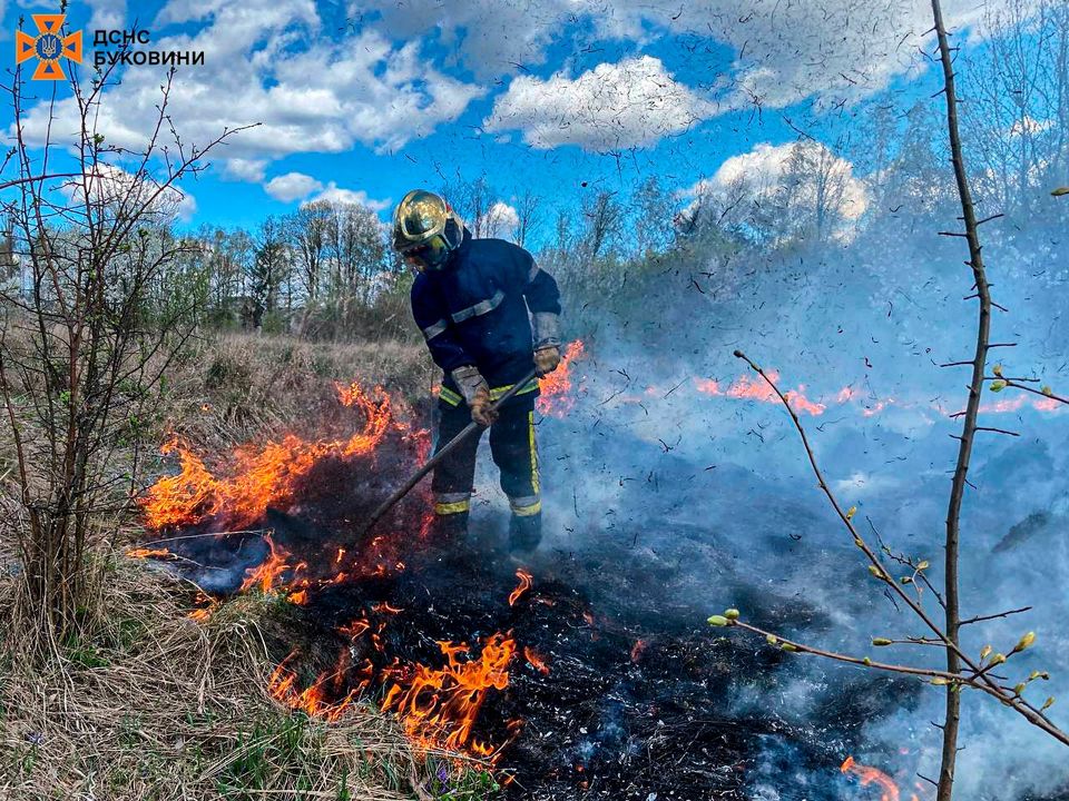 На території Чернівецької області за минулу добу ліквідовано 3 пожежі, 1 особу травмовано