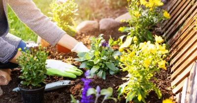 Садівництво для початківців: 3 основні факти, які варто знати