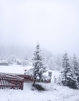 Сніг посеред квітня: у гори Буковини повернулася зима фото