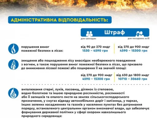 В Україні спалювати листя та суху траву – заборонено!