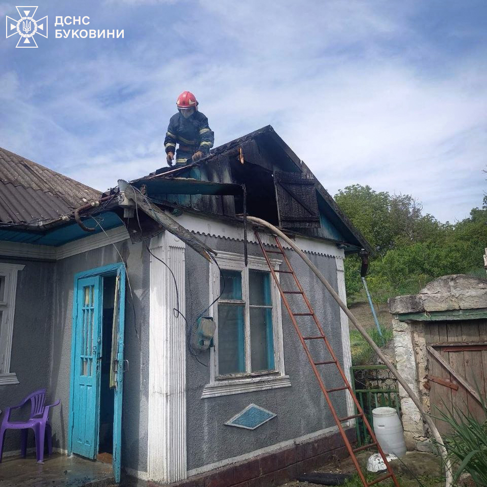 На Буковині сталася пожежа в житловому будинку та національному парку «Хотинський»: які наслідки