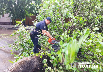 Повалені дерева та перекриті дороги: поліцейські показали, як допомагали ліквідовувати наслідки негоди на Буковині