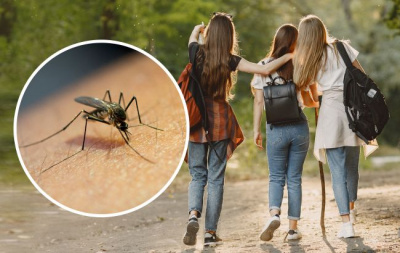 Чому людей кусають комарі та скільки разів на день один "кровопивця" може це зробити