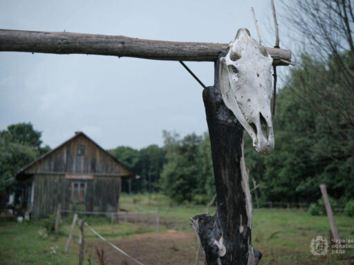 На Буковині з’явилося своє ковбойське ранчо, де розробили спеціальний реабілітаційний кінний маршрут для захисників, які отримали на війні важкі поранення